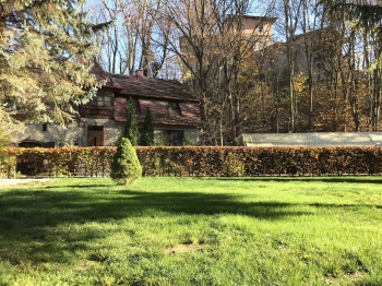 img0